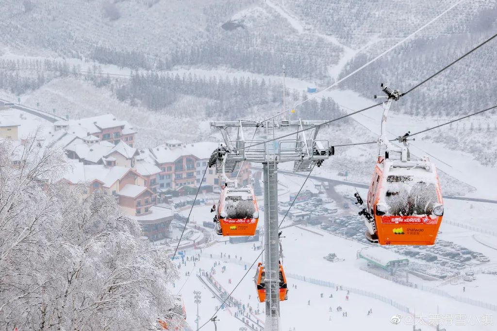 鲁能组什么词(冬奥会如火如荼，网友却吵翻了：国内最好的雪场在哪里？)