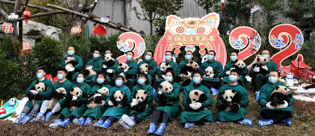 奥运会吉祥物代表哪些国家(北京冬奥会｜不只冰墩墩，这些吉祥物的原型也是大熊猫)