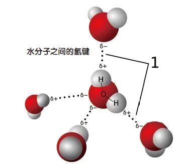 千奇百怪的化学键