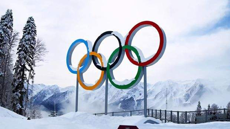 Beijing winter olympics medal table