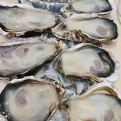生蚝要蒸多少分钟（简单又美味的生蚝烹饪教程）