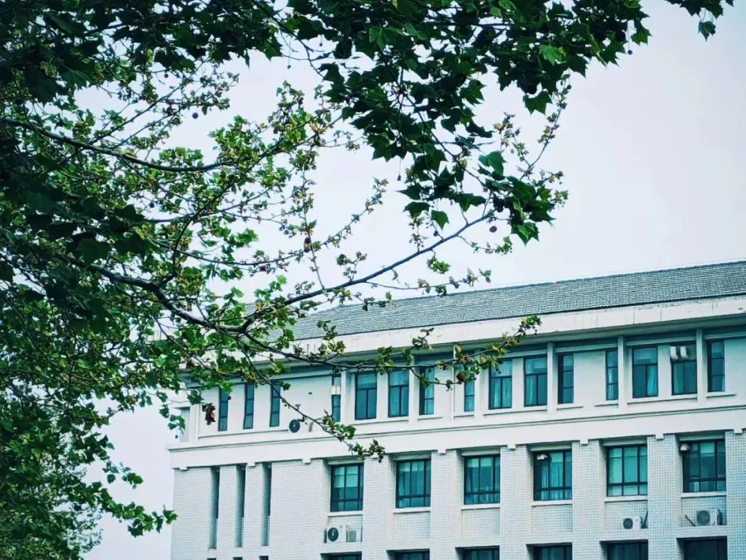 绝了！华水方言集锦，100分以上算你赢