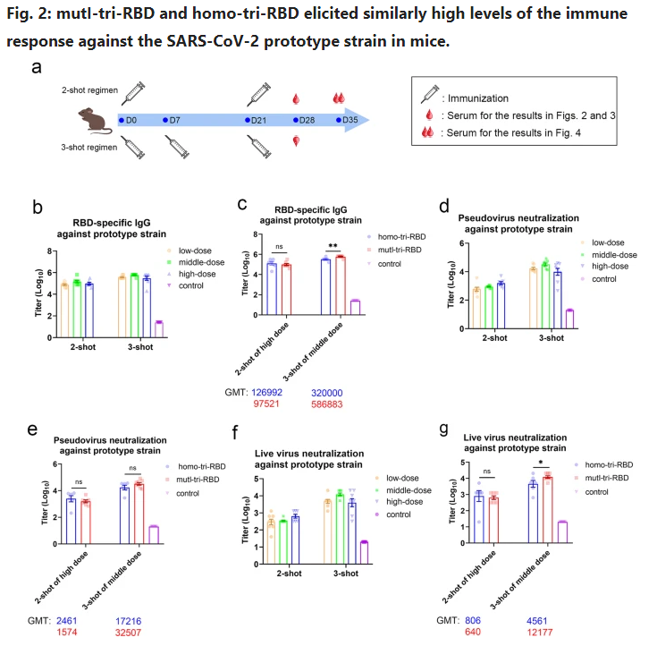 �й�����������鵰���¹�������ʾ�����ñ���Ч��
