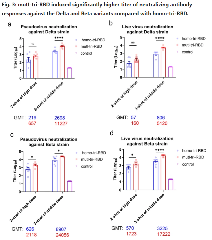 �й�����������鵰���¹�������ʾ�����ñ���Ч��
