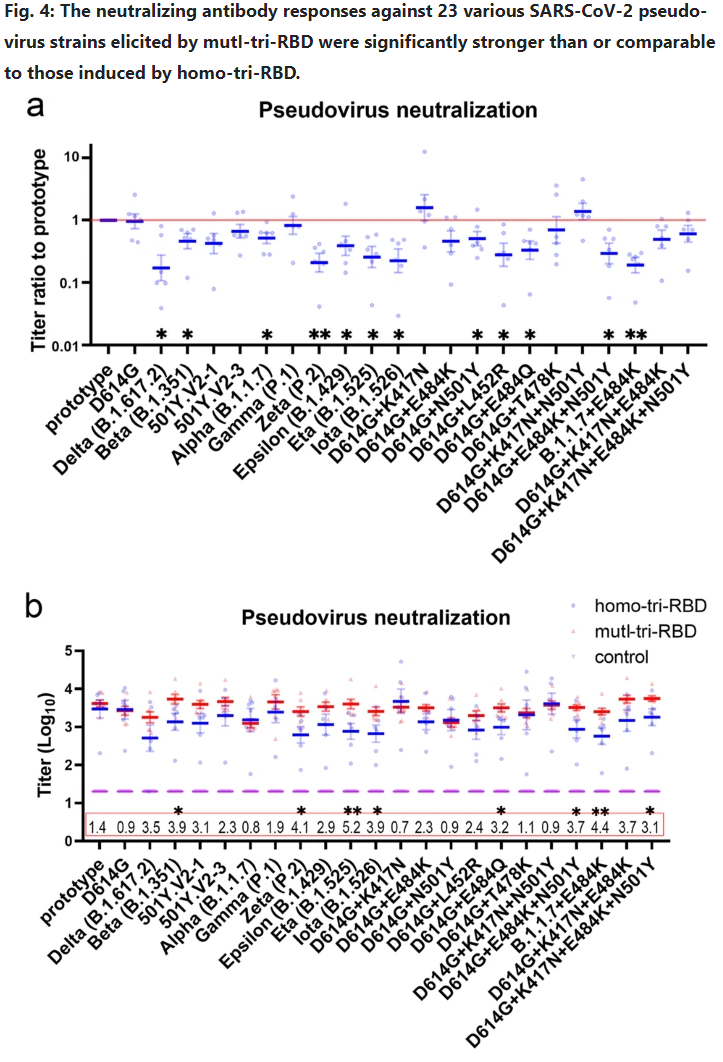 �й�����������鵰���¹�������ʾ�����ñ���Ч��