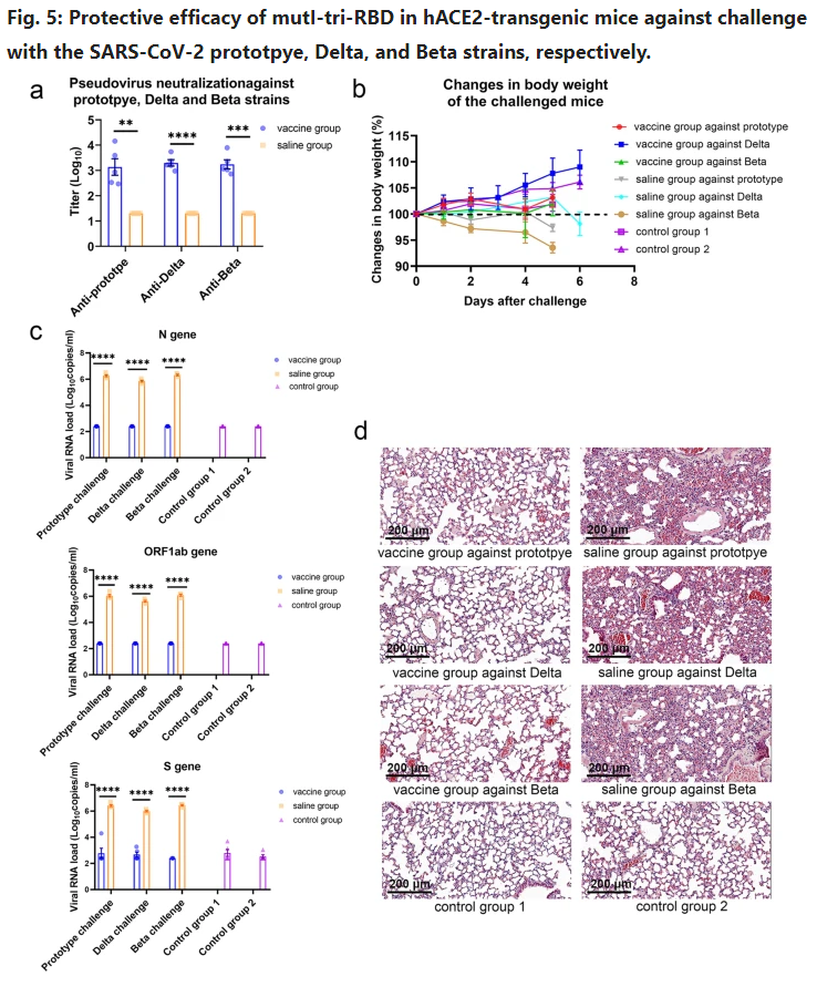 �й�����������鵰���¹�������ʾ�����ñ���Ч��