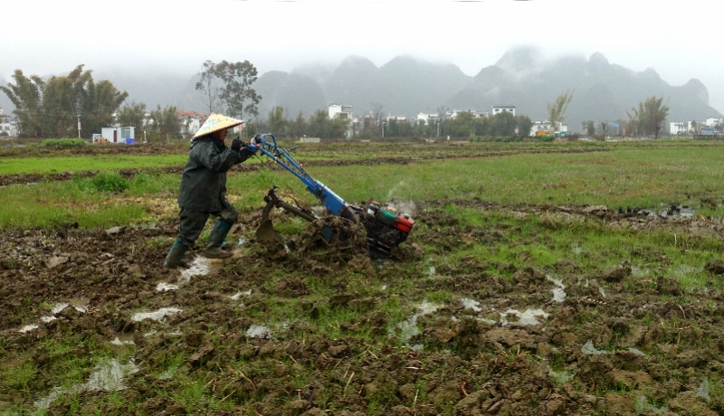 专家谈雨水节气民俗寓意：雨露滋润孩童成长，期盼来年好收成