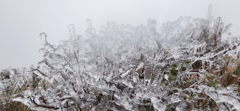 图集丨雨水、寒风、低温袭击，惠州罗浮山出现雾凇冰挂美景