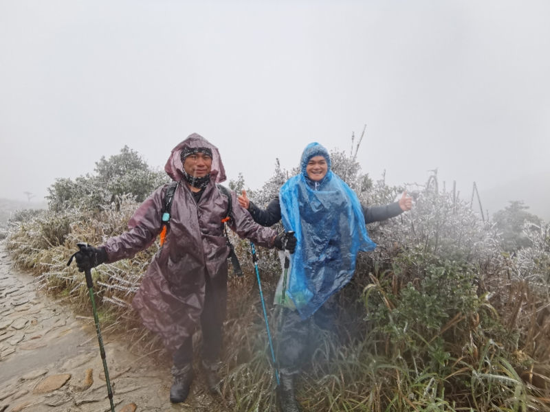 图集丨雨水、寒风、低温袭击，惠州罗浮山出现雾凇冰挂美景