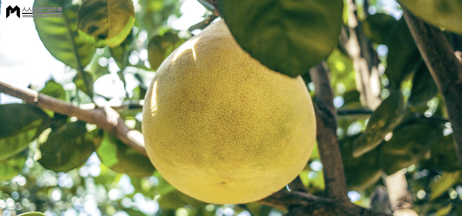 古典微商，赛博进化