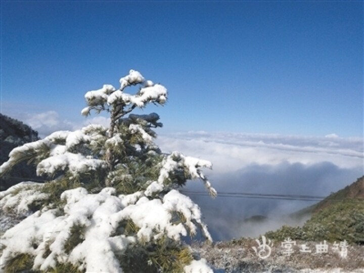 魅力大海惹人醉