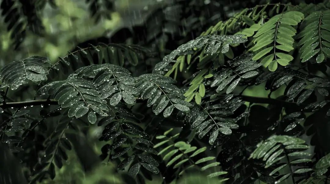 夜读｜上坡和下坡