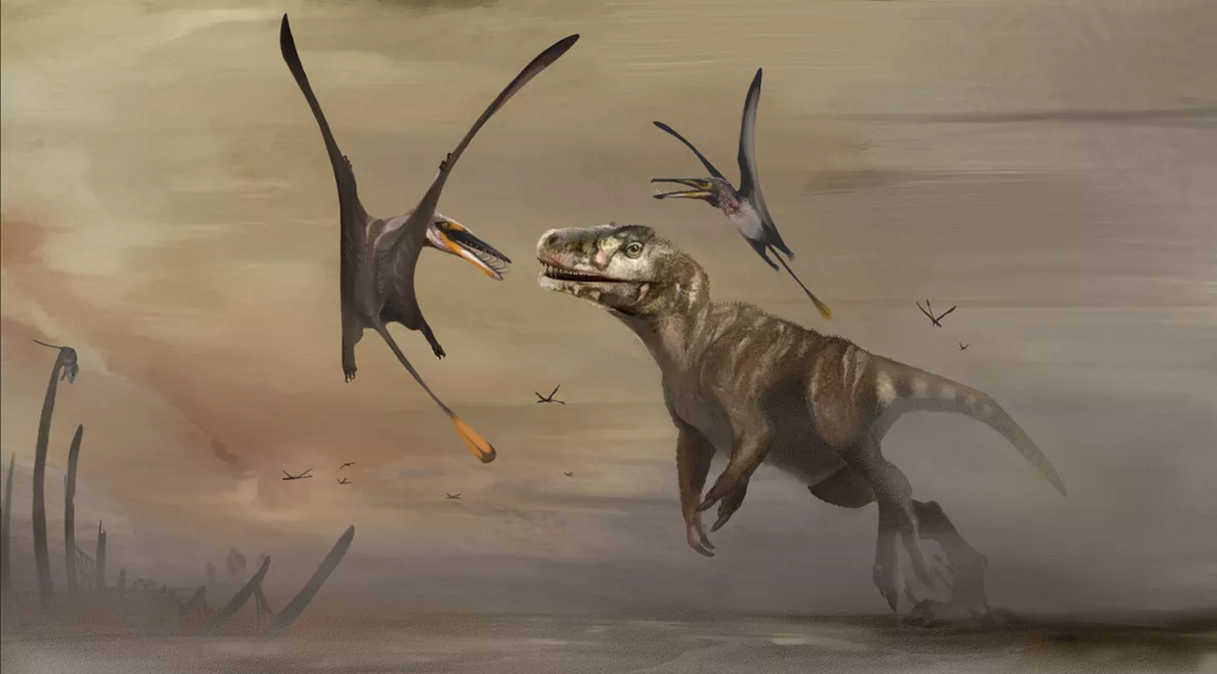 科学家在苏格兰发现1.7亿年前飞行爬行动物化石