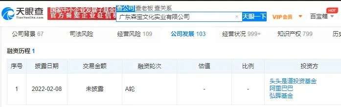 森宝和乐高（森宝积木和乐高）