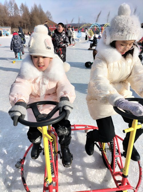 沈陽市杏壇中學開展2022寒假實踐活動(圖12)