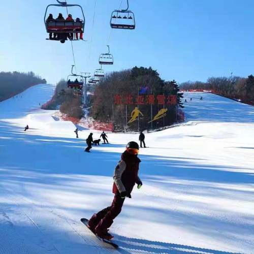 沈陽市杏壇中學開展2022寒假實踐活動(圖21)