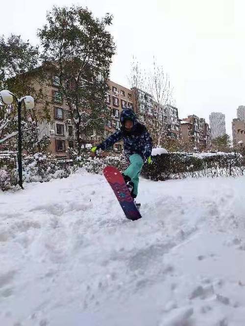 沈陽市杏壇中學開展2022寒假實踐活動(圖26)