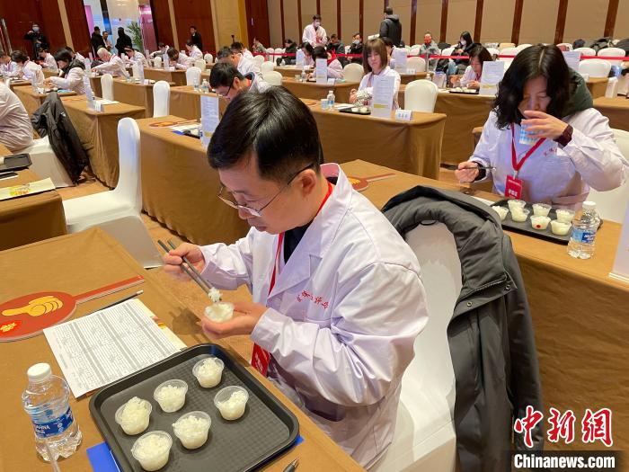 品盛京米香 沈阳首次举办稻米食味品质鉴评比赛