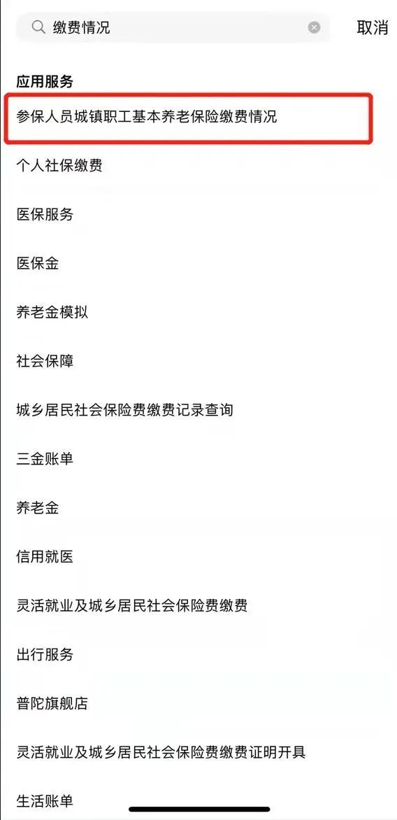 上海社保查询个人账户,上海社保查询个人账户缴费明细查询