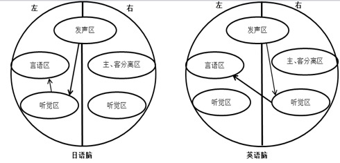 你的语文不好，可能真得怪体育老师……