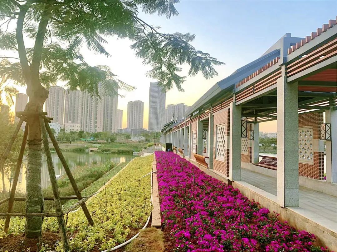 翔安这座公园,约起~_厦门旅游网