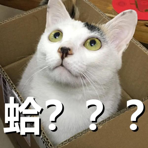 装摄像头,