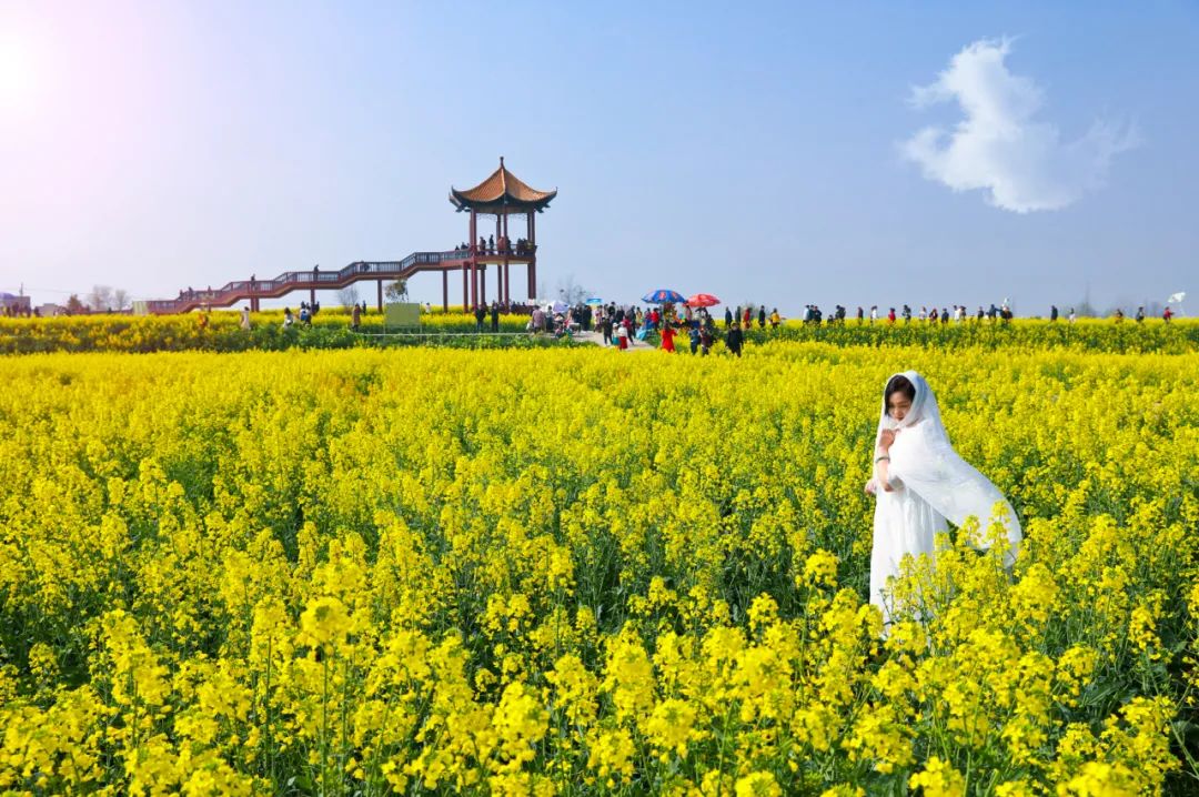 春游湖北旅游名村，寻觅“向往的生活”！