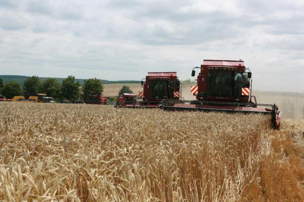 小麦期货价格创2008年以来新高