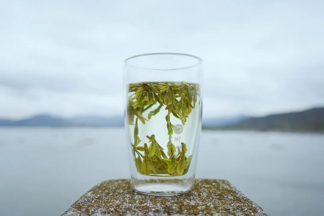 省十三届人大常委会第三十二次会议批准《杭州市西湖龙井茶保护管理