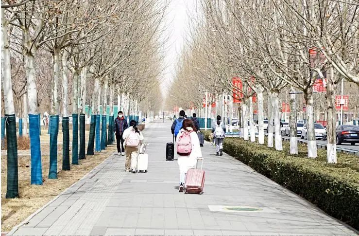 天大“一站式”守护！我们来接你回家