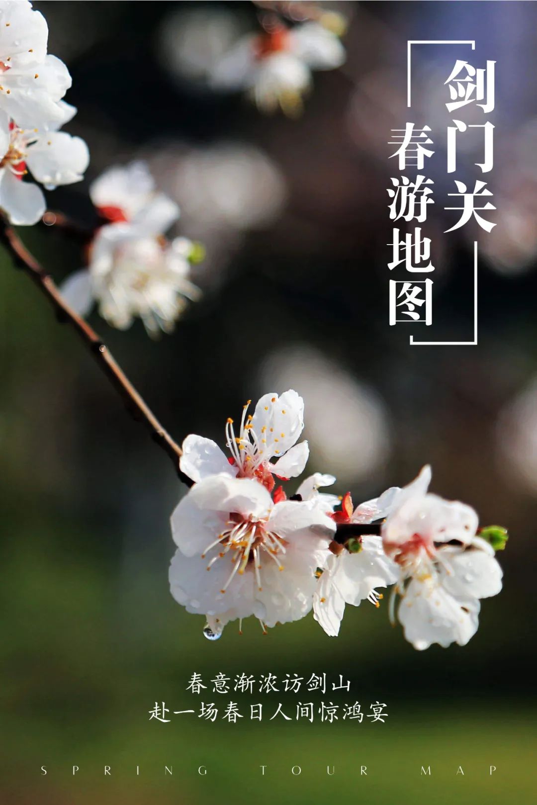 花开天府 安逸四川｜游蜀道登雄关，春意渐浓访剑阁