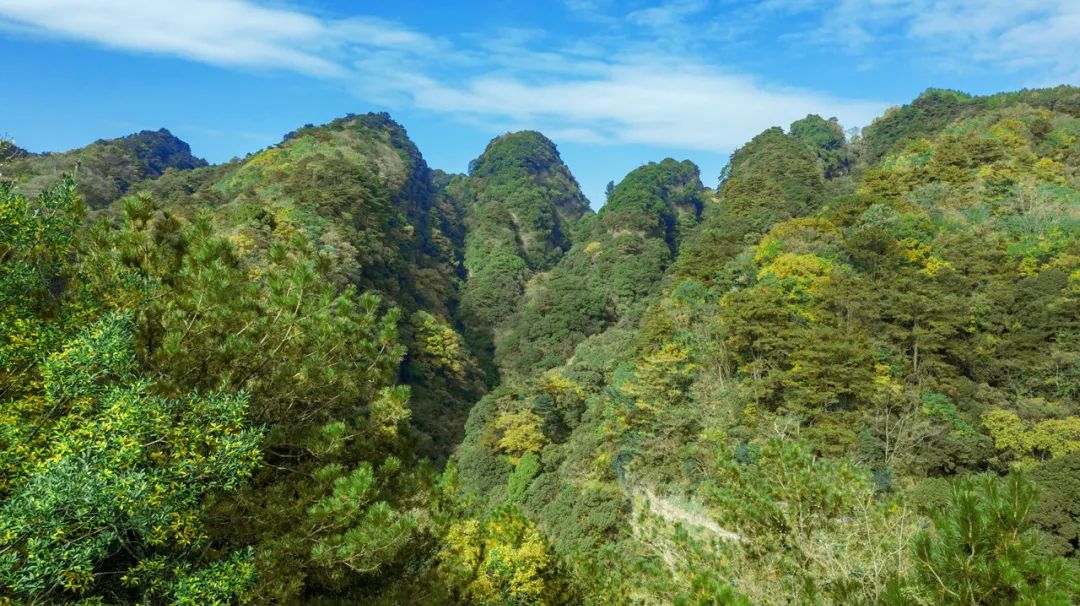 花开天府 安逸四川｜游蜀道登雄关，春意渐浓访剑阁