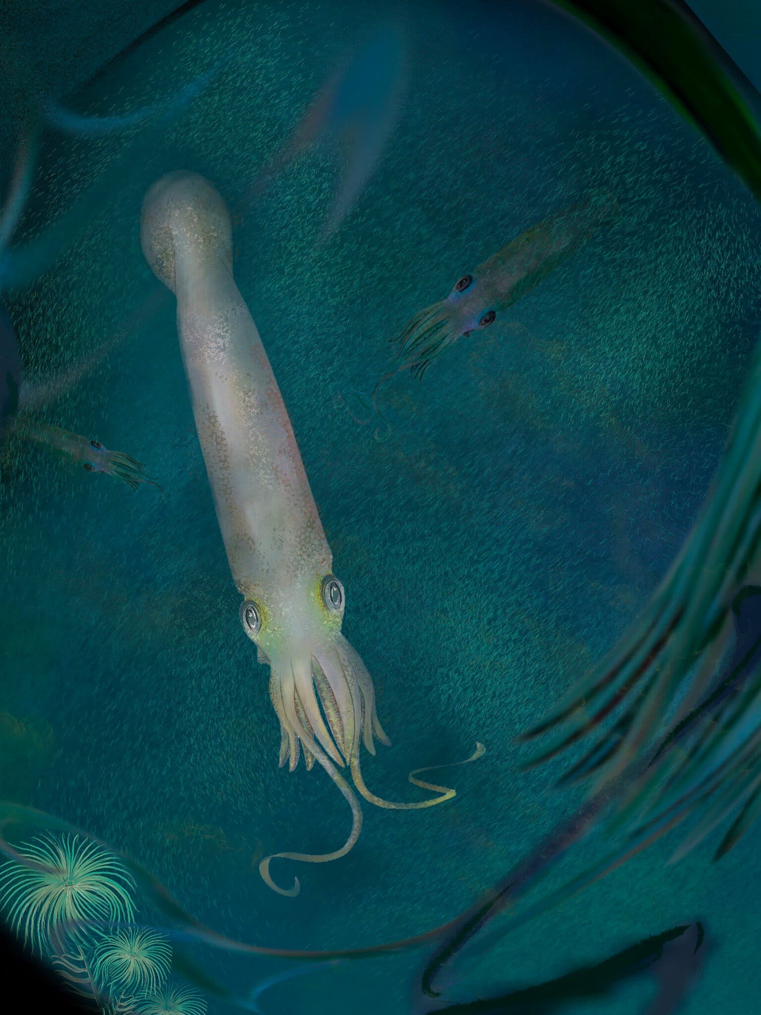 美国古生物学家发现迄今最古老章鱼化石，命名为“拜登”
