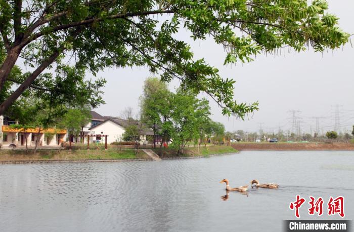 浙江南浔“寻绿记”：水乡“生金”实现绿富双赢