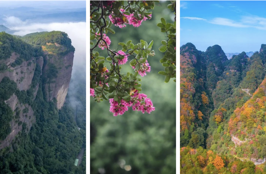 花开天府 安逸四川｜游蜀道登雄关，春意渐浓访剑阁