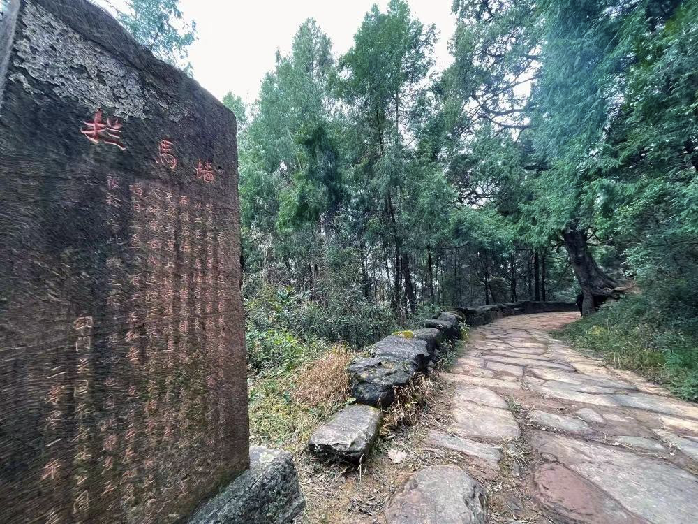 花开天府 安逸四川｜游蜀道登雄关，春意渐浓访剑阁