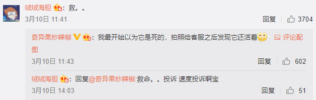 在星巴克饮品中喝出活蟑螂？星巴克回应：会将反馈上报公司