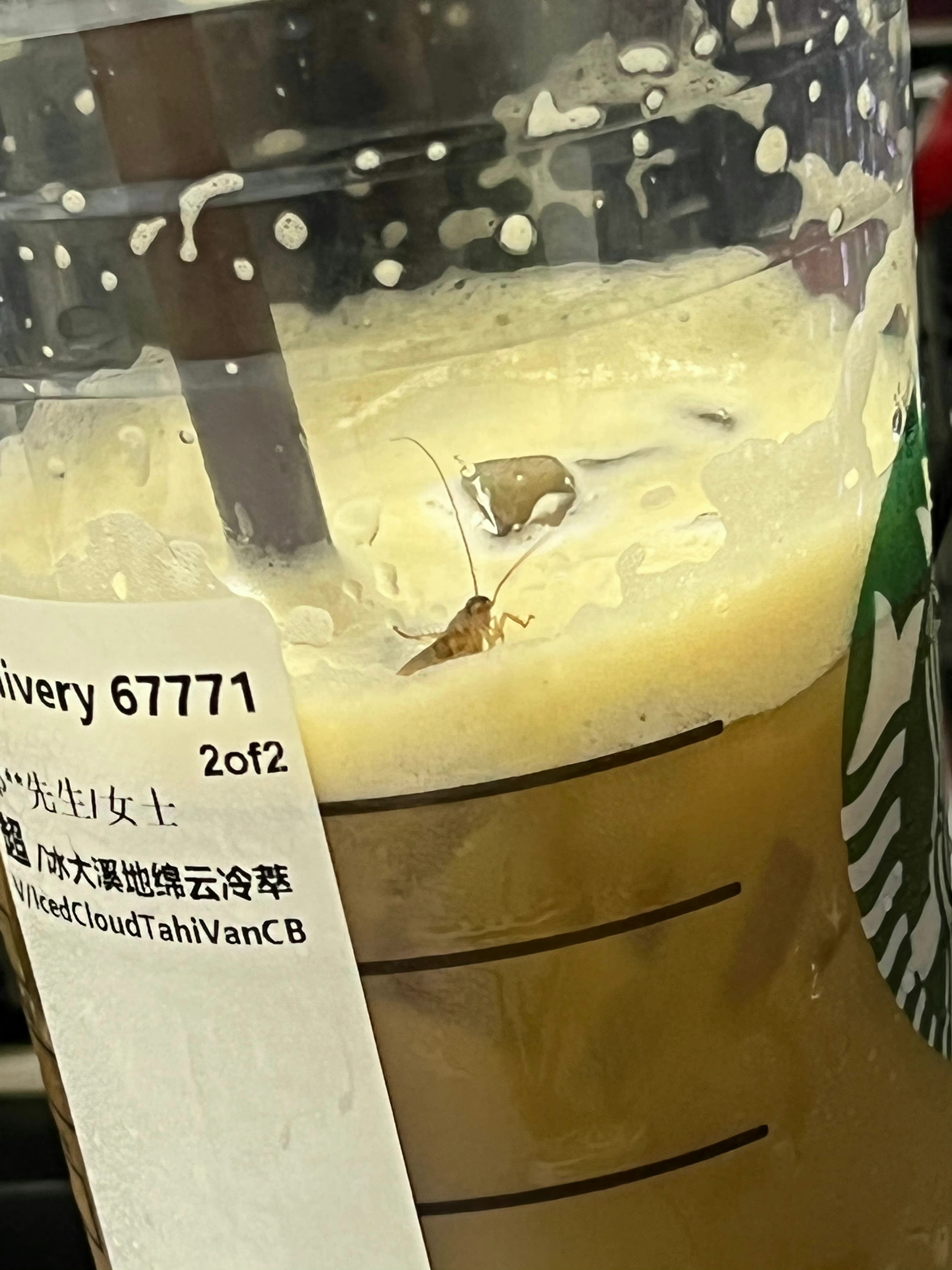 星巴克外卖中喝出活蟑螂？星巴克回应：严格按照操作规范