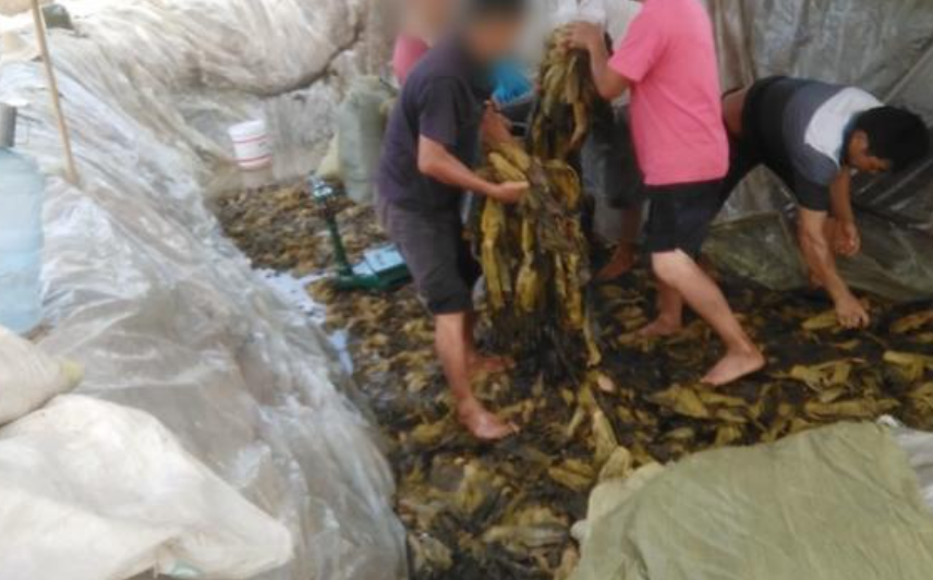“黑心”老坛酸菜被央视曝光！涉康师傅、统一，相关方便面已下架