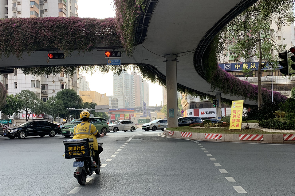 电动车 闯红灯,电动车闯红灯被撞谁的责任