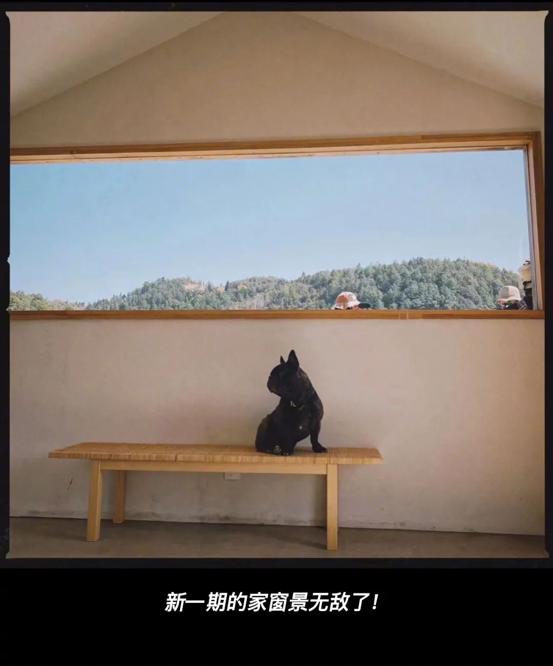 我长时间在想一年只做一次。