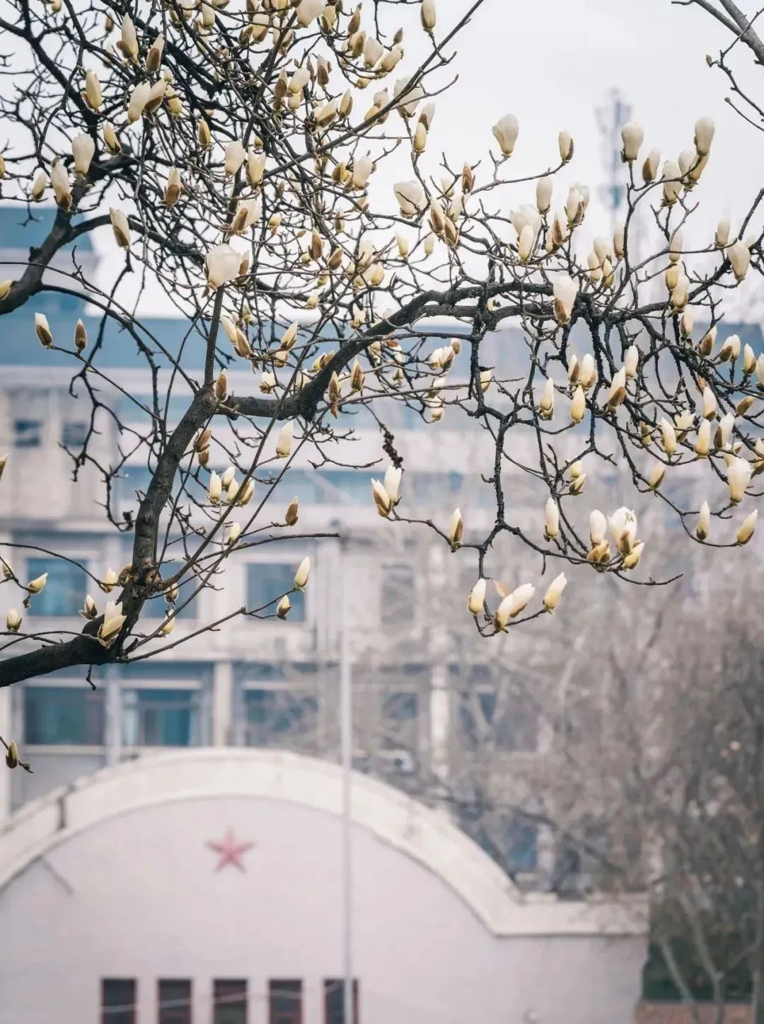 大学丨中国“最穷”211？别乱说！这所百年院校实力很强