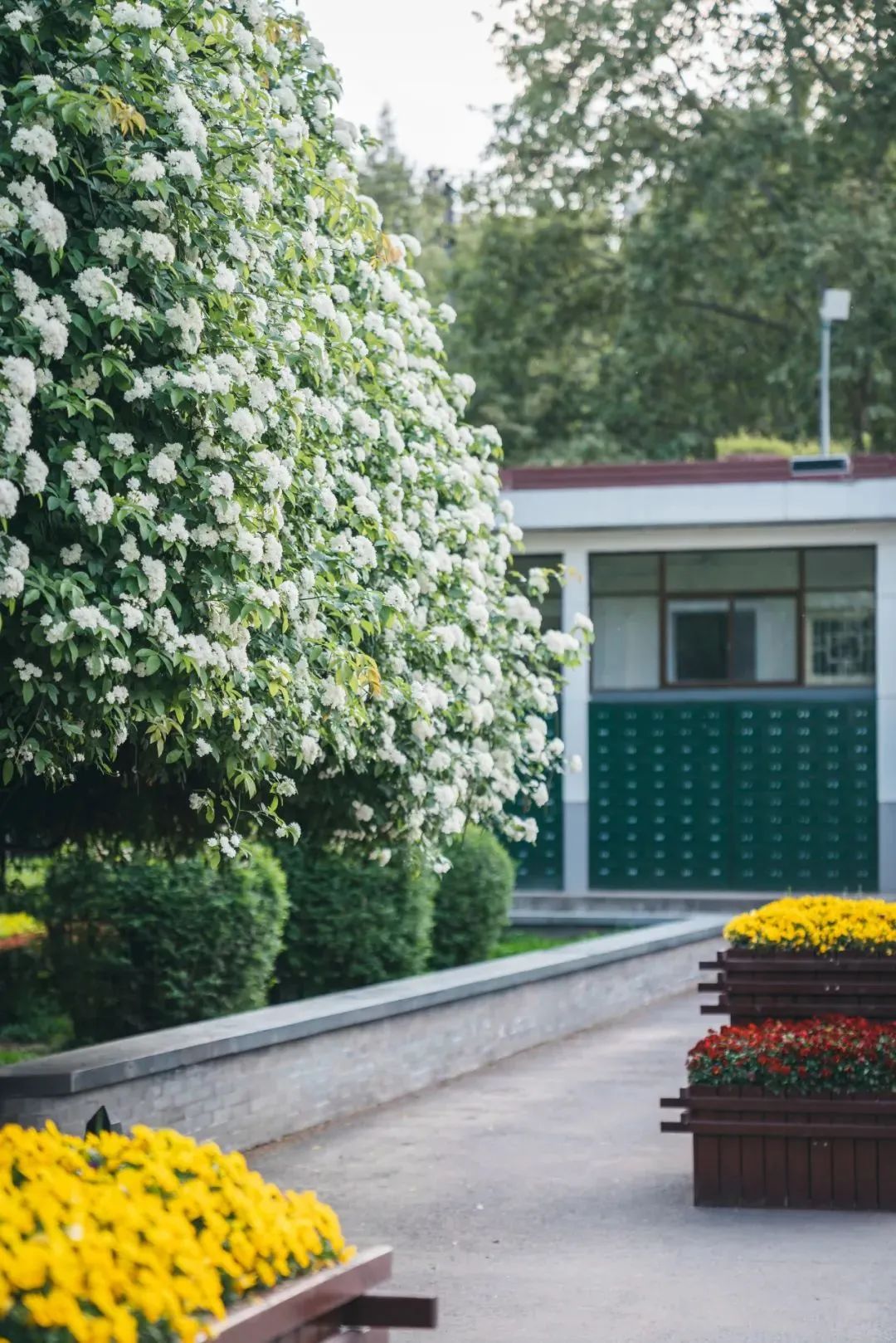 大学丨中国“最穷”211？别乱说！这所百年院校实力很强