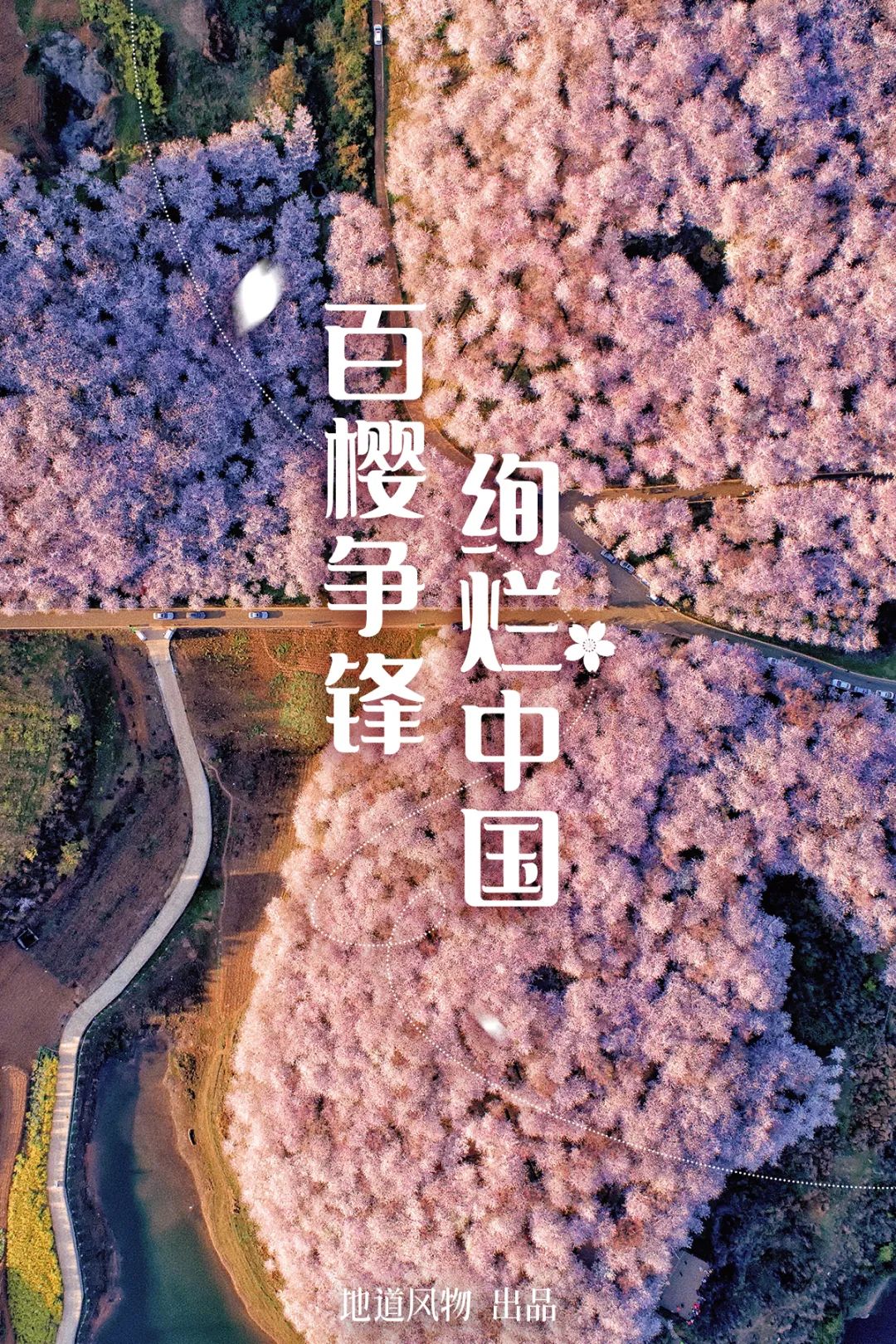 大美中国 | 不能出门看樱花？三万里中国云赏樱地图请查收