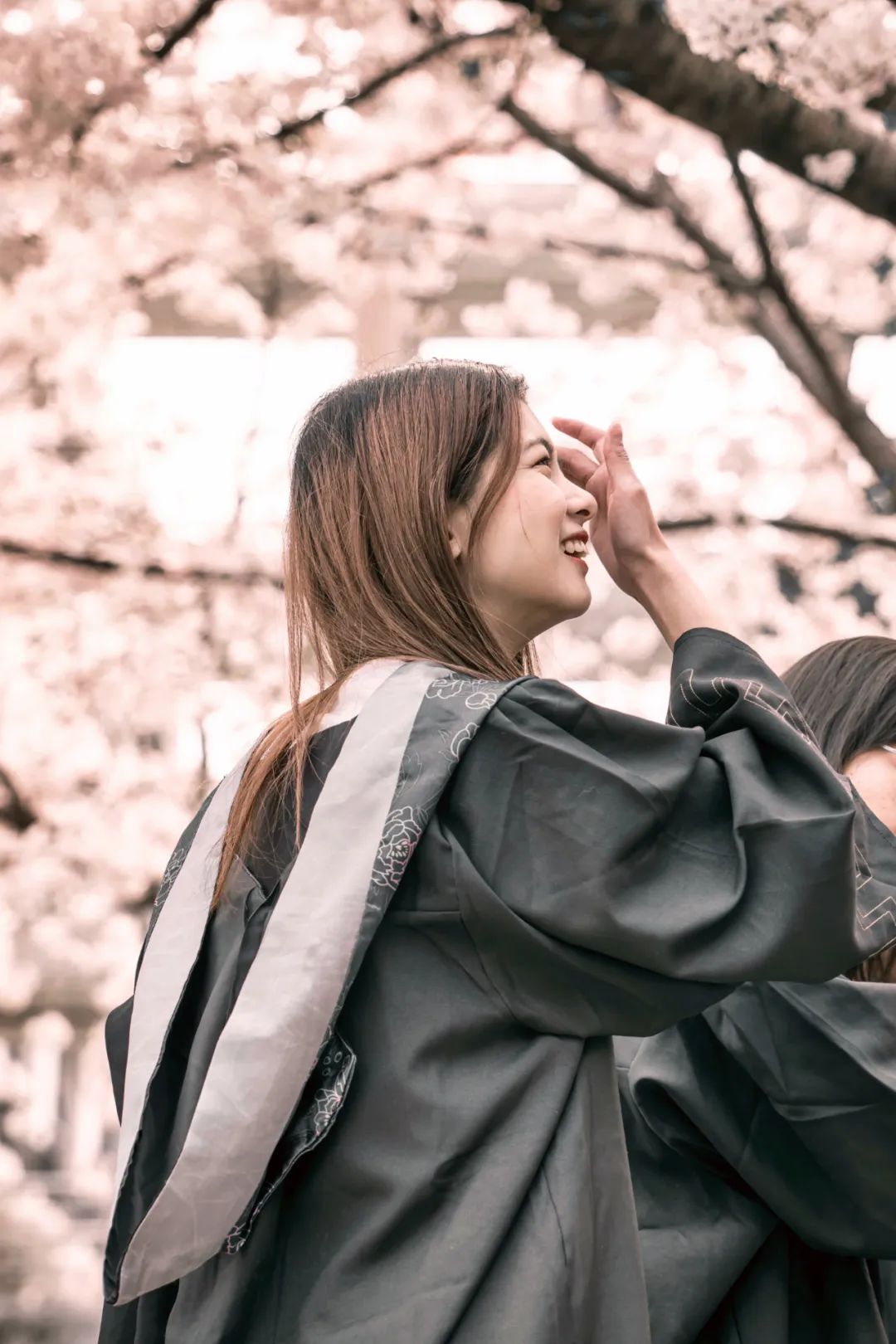 大美中国 | 不能出门看樱花？三万里中国云赏樱地图请查收