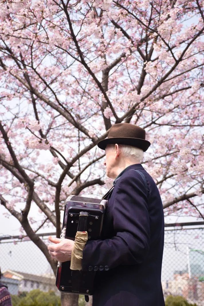 大美中国 | 不能出门看樱花？三万里中国云赏樱地图请查收
