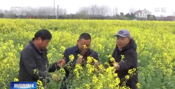 正值冬小麦春灌时节 田间地头看节水农业