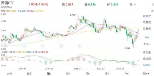 农业板块五连阳，“春耕”行情来了？