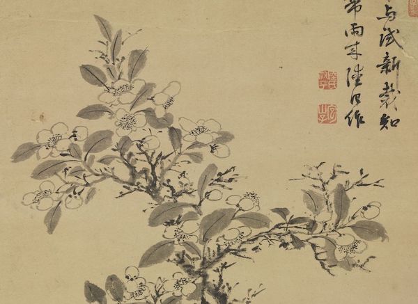 二字加一笔有哪16个字(故宫花信｜梨花：一枝春带雨，冷淡和人瘦)