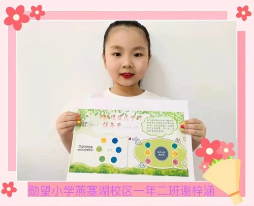 勋望小学燕塞湖分校怎么样?项目式学习(图5)